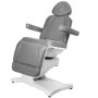 COSMETIC ELECTRIC CHAIR. AZZURRO 869A ROTARY 4 MOTOR GRAY