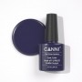Purple Blue Canni Soak Off UV LED Nail Gel Polish