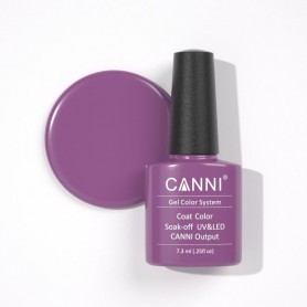 Grey Violet Canni Smalti gel per unghie UV LED semipermanenti