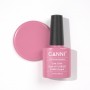Rose Bloom Canni UV LED Nagellack Farbgel Shellac