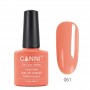 copy of Light Nude Pink Canni UV LED Nagellack Farbgel Shellac