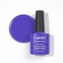 Royal Blue Canni UV LED Nagellack Farbgel Shellac