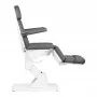 ELECTRIC BEAUTY CHAIR KATE 4 MOTOR GRAY