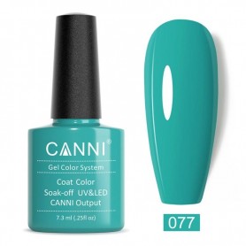 Turquoise Canni Smalti gel per unghie UV LED semipermanenti