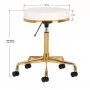Cosmetic stool H4 gold white