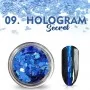 Nagelpuder Hologram Secret Nr. 09