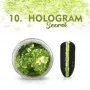 Nail powder Hologram secret No. 10