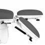 Electric beauty chair "Sillon Basic pedi", 3 motors, gray