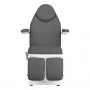 Cadeira de beleza elétrica "Sillon Basic pedi", 3 motores, cinza
