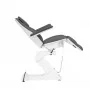 Electric cosmetic chair "Sillon Basic Pedi", 3 motors, swivel, gray