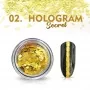 02 Nr. küünepulber Hologrammi saladus