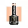 OCHO NAILS Rainbow R02 hybrid nail polish -5 g