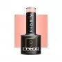 OCHO NAILS Rainbow R03 hybrid nail polish -5 g