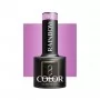 OCHO NAILS Rainbow R07 hybrid nail polish -5 g