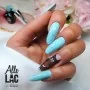 AlleLac Macaroons & Muffins Collection 5g Nr 116 / Гел лак за нокти 5ml