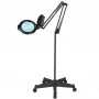 Glow Moonlight 8013/6' lampada LED nera con treppiede