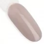 NTN Premium Topless Nr 10 / Żelowy lakier do paznokci 5ml