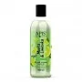 Apis Energy Shot Shower Gel, mint and lime 500 ml