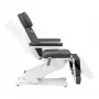 Elektriskais skaistumkopšanas krēsls SILLON CLASSIC ar 2 pedimotoriem, pelēks