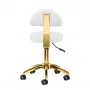 Cosmetic stool AM-304G, white gold