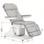 Electric cosmetic chair Azzuro 891 gray 3 motors
