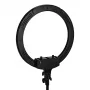 GLOW 18" bsc ring lamp with stand 45W